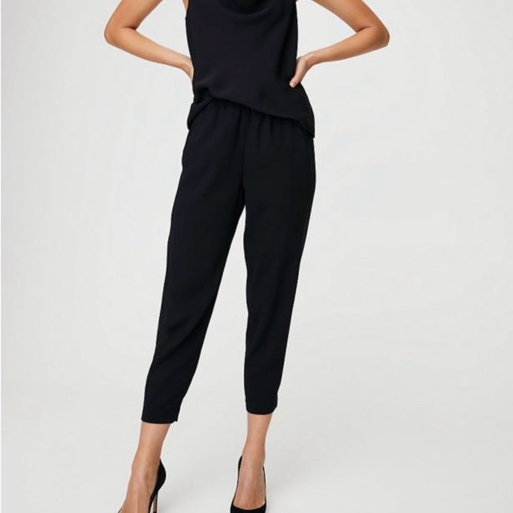 Aritzia Babaton Dexter Pants